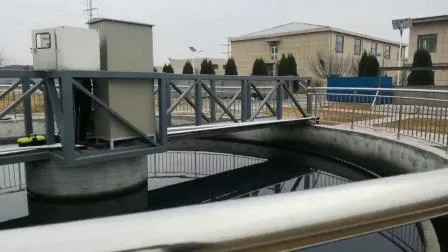 Grattoir de boue pour usine de traitement des eaux usées, réservoir secondaire de Machine de traitement des eaux usées industrielles